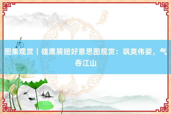 图集观赏｜雄鹰展翅好意思图观赏：飒爽伟姿，气吞江山