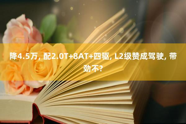 降4.5万, 配2.0T+8AT+四驱, L2级赞成驾驶, 带劲不?